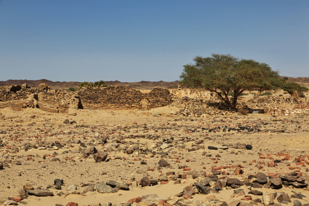 Komentáre k čítaniam 3. adventnej nedele „A“