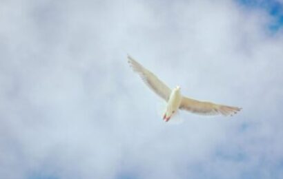 Komentáre k textom na 6. veľkonočnú nedeľu „A“