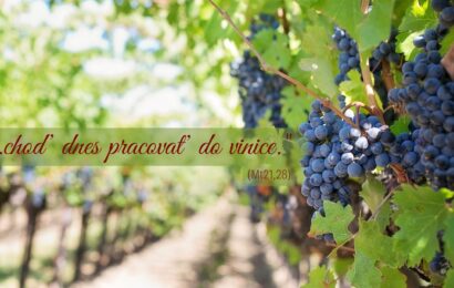 Komentáre k textom na 26. nedeľu cez rok „A“