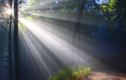 Komentár k sviatku Zjavenia Pána