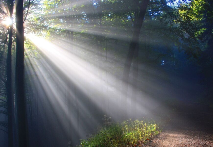 Komentár k sv. Zjavenia Pána Komentár k sv. Zjavenia Pána