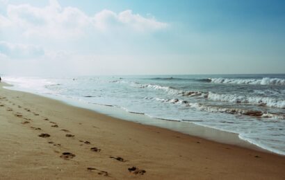 Komentáre k textom na 15. nedeľu cez rok „B“