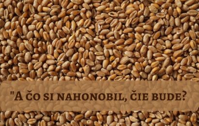 Komentár k čítaniam k 18. nedeli v cezročnom období „C“