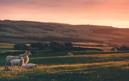 Komentár k 20. nedeli v cezročnom období „C“